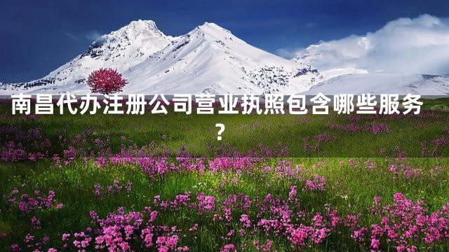 南昌代办注册公司营业执照包含哪些服务？
