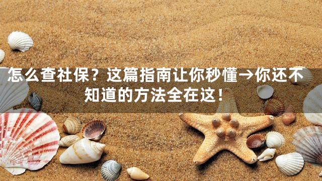 怎么查社保？这篇指南让你秒懂→你还不知道的方法全在这！