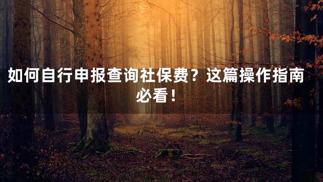 如何自行申报查询社保费？这篇操作指南必看！