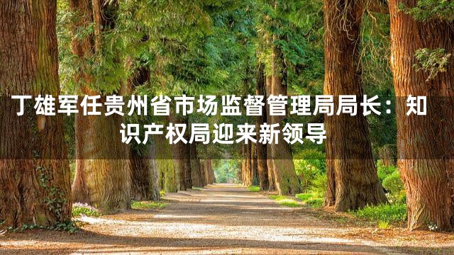 丁雄军任贵州省市场监督管理局局长：知识产权局迎来新领导