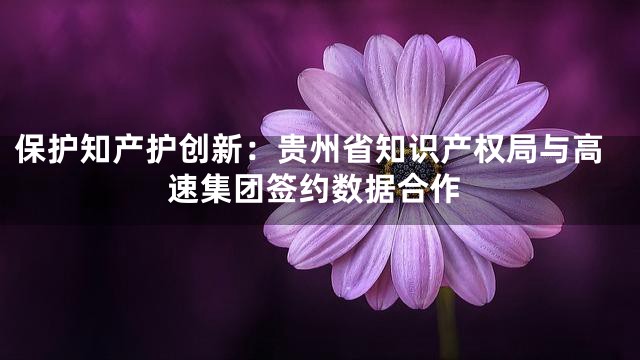 保护知产护创新：贵州省知识产权局与高速集团签约数据合作