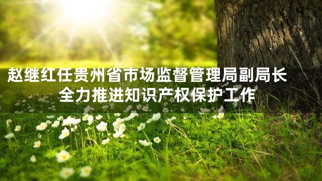 赵继红任贵州省市场监督管理局副局长
全力推进知识产权保护工作