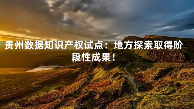 贵州数据知识产权试点：地方探索取得阶段性成果！