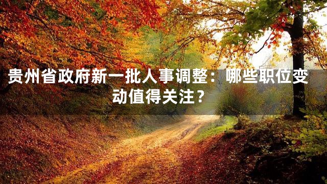 贵州省政府新一批人事调整：哪些职位变动值得关注？