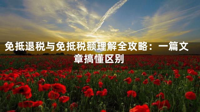 免抵退税与免抵税额理解全攻略：一篇文章搞懂区别