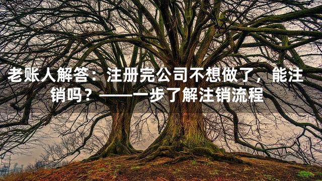 老账人解答：注册完公司不想做了，能注销吗？——一步了解注销流程
