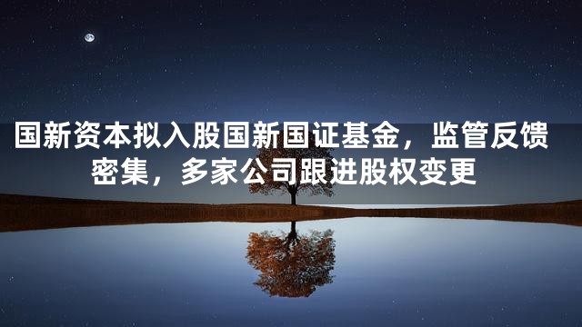 国新资本拟入股国新国证基金，监管反馈密集，多家公司跟进股权变更