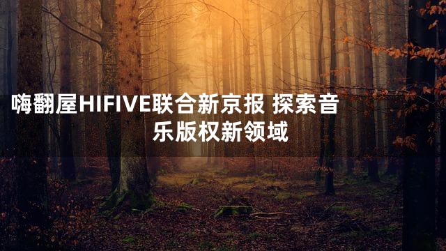 嗨翻屋HIFIVE联合新京报 探索音乐版权新领域