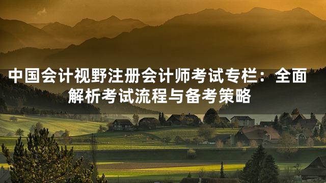 中国会计视野注册会计师考试专栏：全面解析考试流程与备考策略