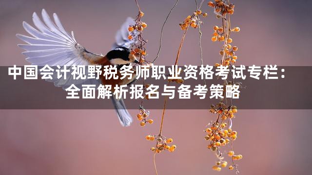 中国会计视野税务师职业资格考试专栏：全面解析报名与备考策略