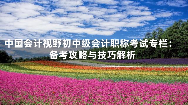 中国会计视野初中级会计职称考试专栏：备考攻略与技巧解析