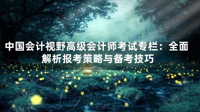 中国会计视野高级会计师考试专栏：全面解析报考策略与备考技巧