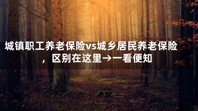 城镇职工养老保险vs城乡居民养老保险，区别在这里→一看便知