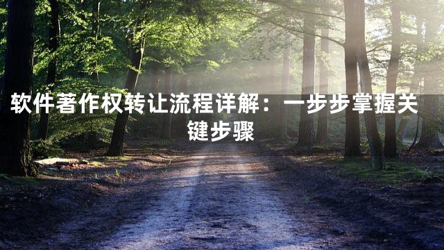 软件著作权转让流程详解：一步步掌握关键步骤