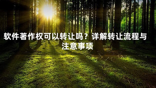 软件著作权可以转让吗？详解转让流程与注意事项