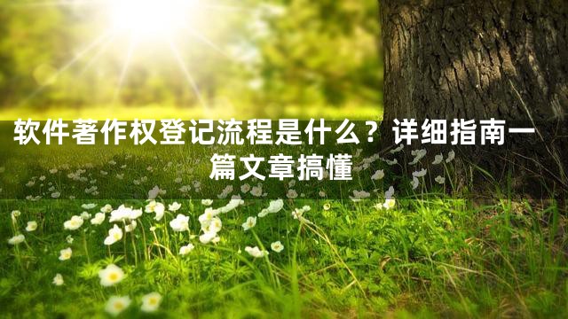 软件著作权登记流程是什么？详细指南一篇文章搞懂