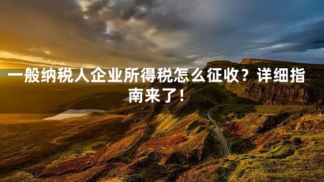 一般纳税人企业所得税怎么征收？详细指南来了！