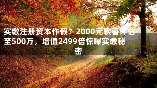 实缴注册资本作假？2000元软著评估至500万，增值2499倍惊曝实缴秘密