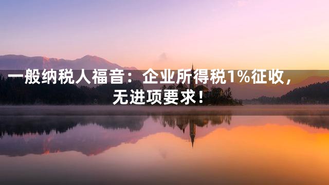 一般纳税人福音：企业所得税1%征收，无进项要求！