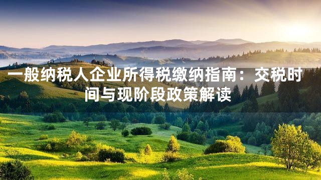 一般纳税人企业所得税缴纳指南：交税时间与现阶段政策解读