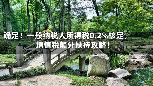 确定！一般纳税人所得税0.2%核定，增值税额外扶持攻略！