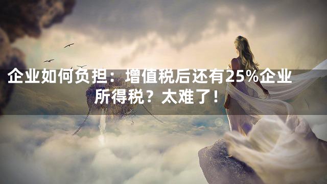 企业如何负担：增值税后还有25%企业所得税？太难了！