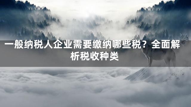 一般纳税人企业需要缴纳哪些税？全面解析税收种类