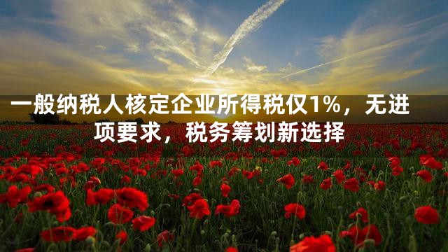 一般纳税人核定企业所得税仅1%，无进项要求，税务筹划新选择