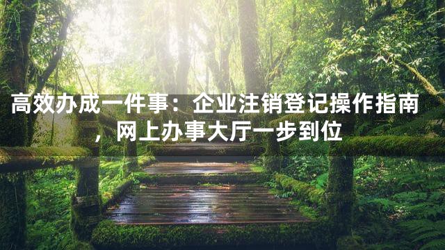 高效办成一件事：企业注销登记操作指南，网上办事大厅一步到位