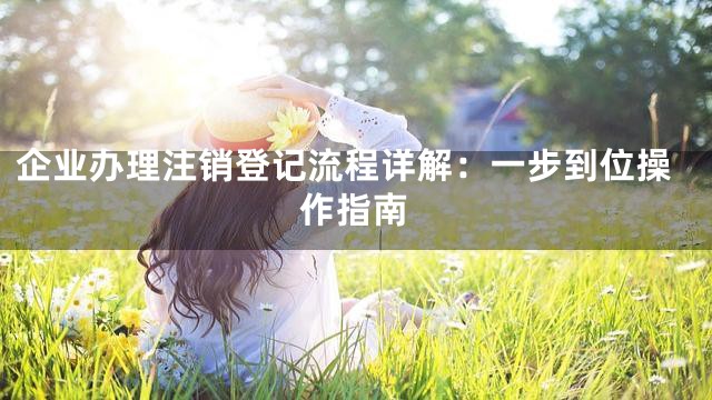 企业办理注销登记流程详解：一步到位操作指南
