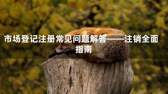 市场登记注册常见问题解答——注销全面指南