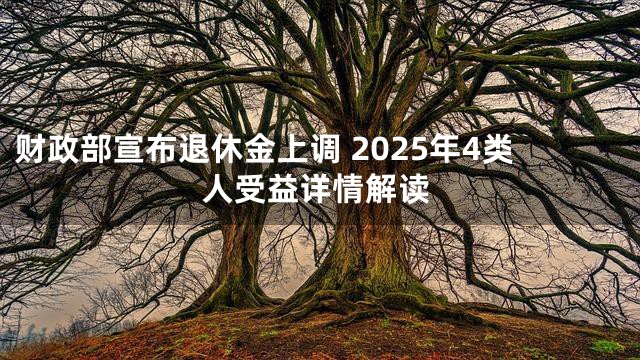 财政部宣布退休金上调 2025年4类人受益详情解读