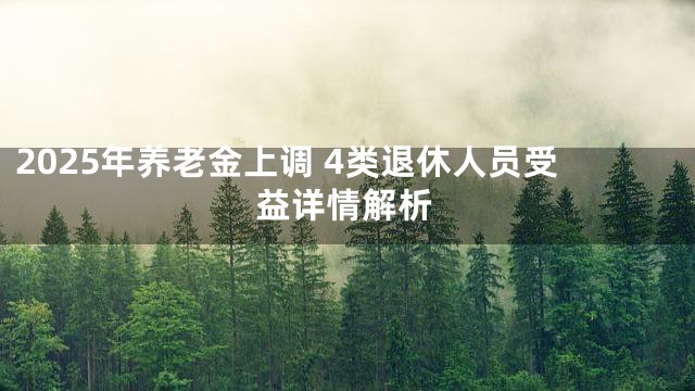 2025年养老金上调 4类退休人员受益详情解析