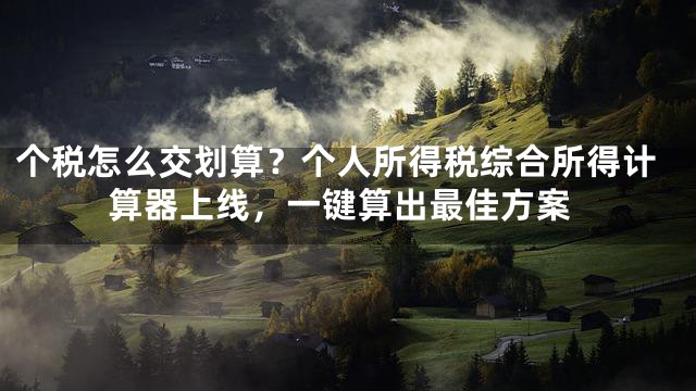 个税怎么交划算？个人所得税综合所得计算器上线，一键算出最佳方案