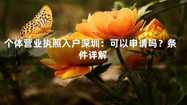 个体营业执照入户深圳：可以申请吗？条件详解
