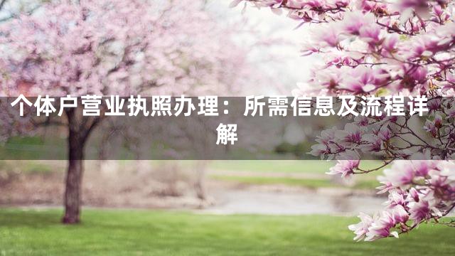 个体户营业执照办理：所需信息及流程详解