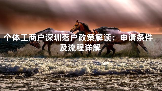 个体工商户深圳落户政策解读：申请条件及流程详解