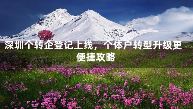 深圳个转企登记上线，个体户转型升级更便捷攻略