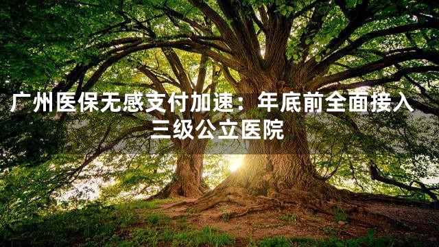 广州医保无感支付加速：年底前全面接入三级公立医院