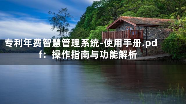 专利年费智慧管理系统-使用手册.pdf：操作指南与功能解析