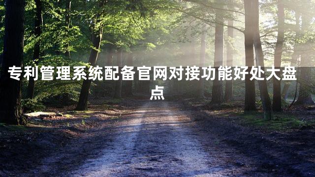 专利管理系统配备官网对接功能好处大盘点