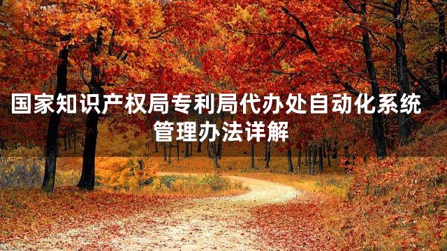 国家知识产权局专利局代办处自动化系统管理办法详解