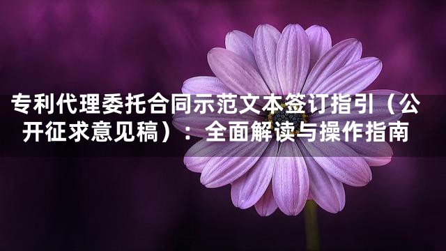 专利代理委托合同示范文本签订指引（公开征求意见稿）：全面解读与操作指南