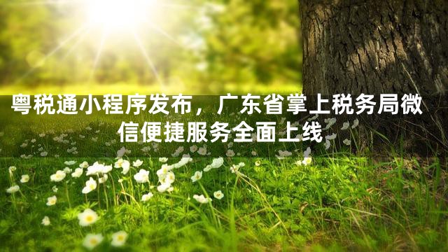 粤税通小程序发布，广东省掌上税务局微信便捷服务全面上线