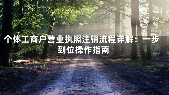 个体工商户营业执照注销流程详解：一步到位操作指南