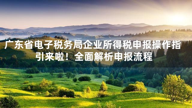 广东省电子税务局企业所得税申报操作指引来啦！全面解析申报流程