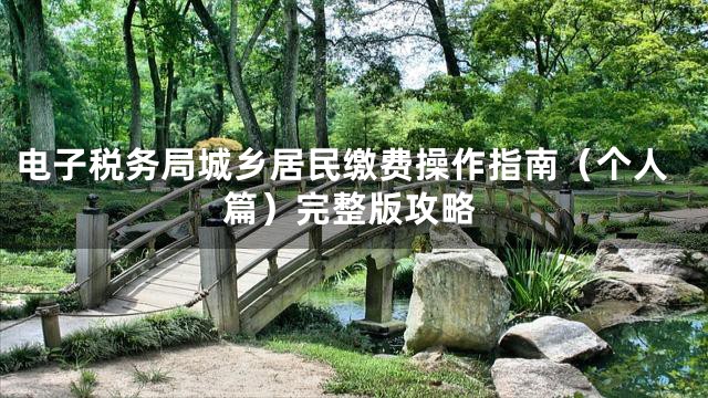 电子税务局城乡居民缴费操作指南（个人篇）完整版攻略