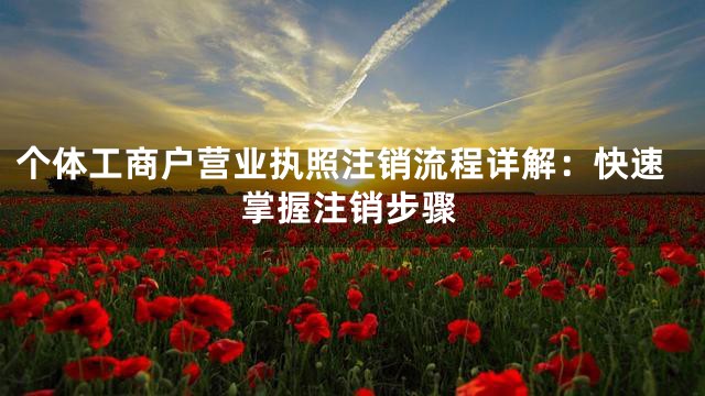 个体工商户营业执照注销流程详解：快速掌握注销步骤