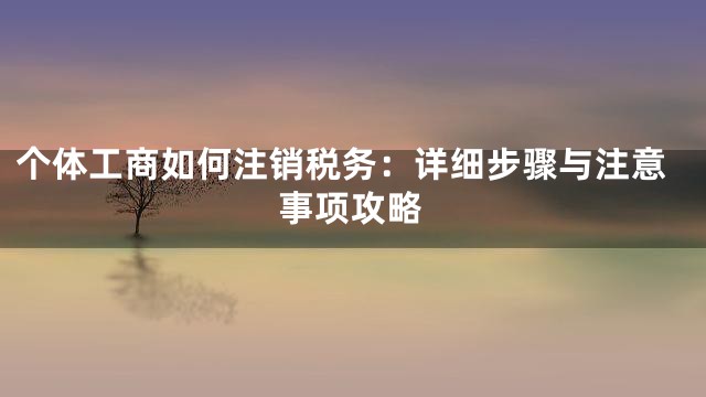 个体工商如何注销税务：详细步骤与注意事项攻略
