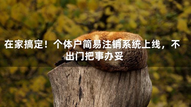 在家搞定！个体户简易注销系统上线，不出门把事办妥